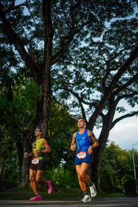 BIB: 
                            <button type="button" onclick="openModal(26551065)" class="btn btn-primary btn-sm float-right btn-popup" data-toggle="modal" data-target=".modal-high-quality">
                        <i class="fas fa-shopping-cart"></i> Add to Cart
                    </button>
                                            <button type="button" onclick="isThisMe(26551065, true)" class="btn btn-success btn-sm float-right btn-popup btn-isme hidden" data-toggle="tooltip" data-placement="bottom" title="นี่คือรูปของคุณใช่ไหม คลิกที่นี่เพื่อเอาเข้าอัลบั้ม">
                        <i class="fas fa-plus"></i> Add to album
                    </button>
                    <button type="button" onclick="isThisMe(26551065, false)" class="btn btn-warning btn-sm float-right btn-popup btn-isnotme hidden">
                        <i class="fas fa-ban"></i> Remove from album
                    </button>